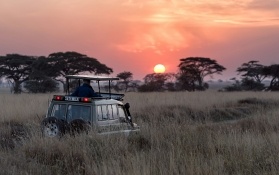 Brionj Experience Safari Thakasile Brionj Experience Safari Thakasile